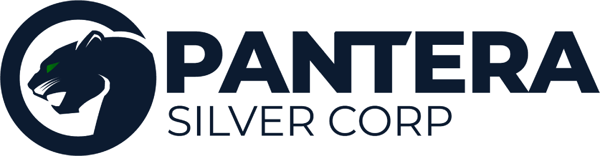 Pantera Silver Logo